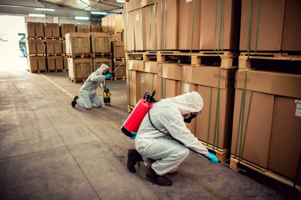 Best Pest Control Cost  in Rogue River, OR