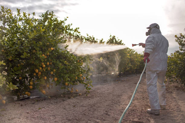 Pest Control for Restaurants in Rogue River, OR