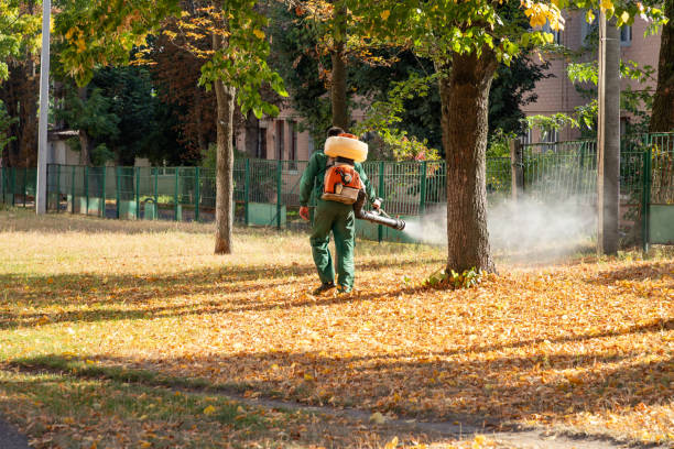 Best Rodent Control Near Me  in Rogue River, OR